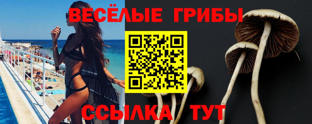 Псилоцибиновые грибы Magic Shrooms Кохма